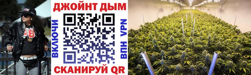 сайты даркнета как зайти  Ахтубинск  МАРИХУАНА ГИДРОПОН 